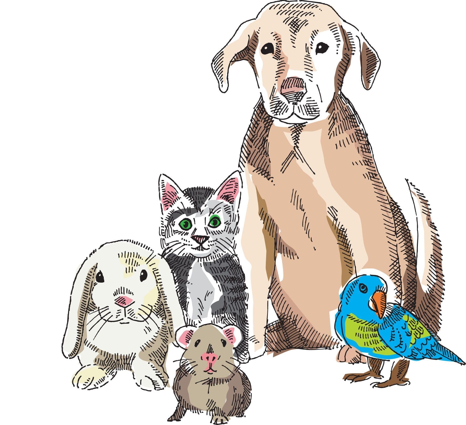 Blessing of the Animals ⏺️