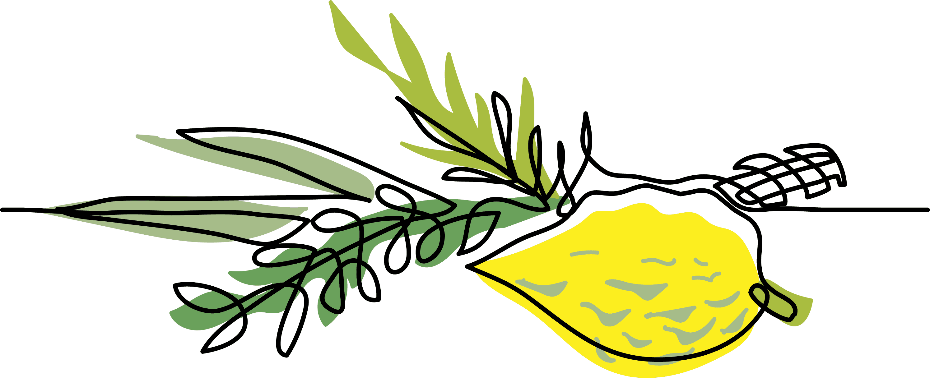 Lulav and Etrog